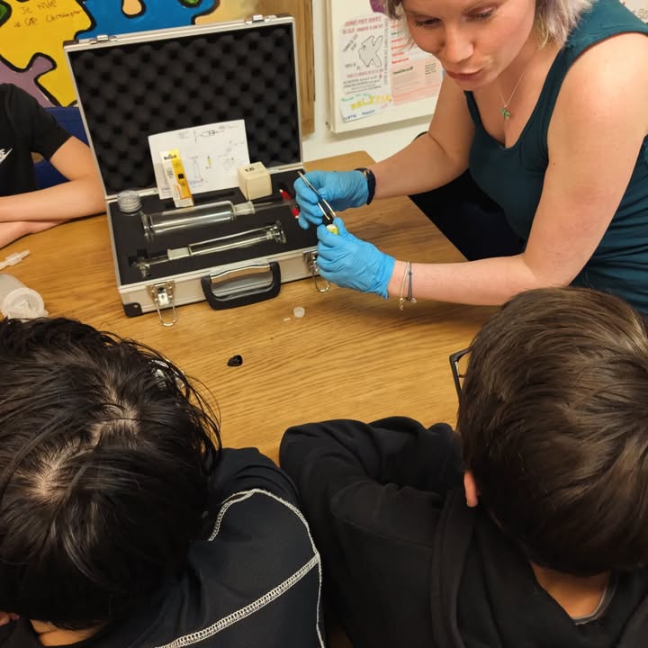 CAP - Centre d’Animation Socioculturelle Palinzard